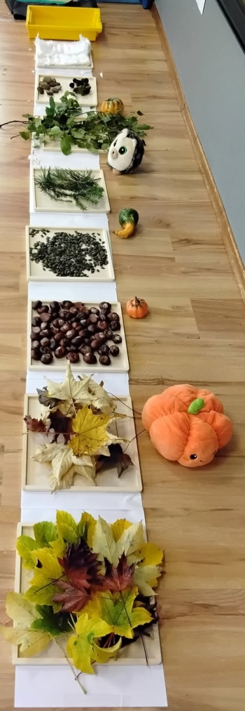 1. Ścieżka sensoryczna