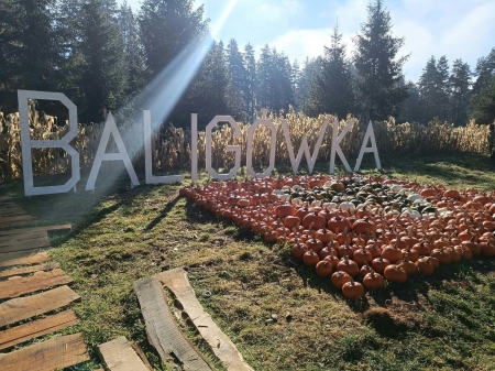 Wycieczka na farmę dyń  w ,,Baligówce''  28.09.2026 r.